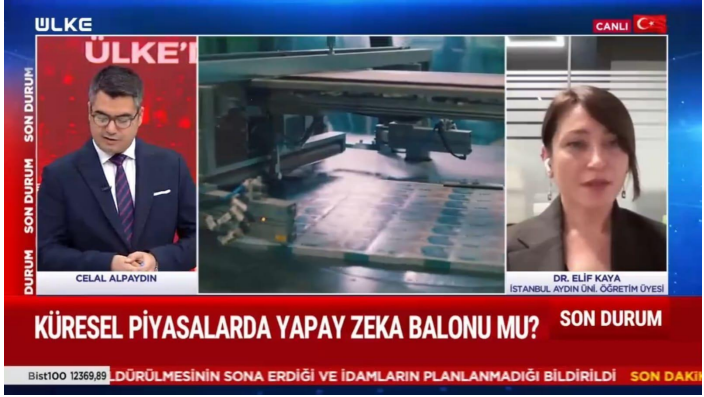 Dr. Elif Kaya Evaluates Recent Developments in Global Economic Markets