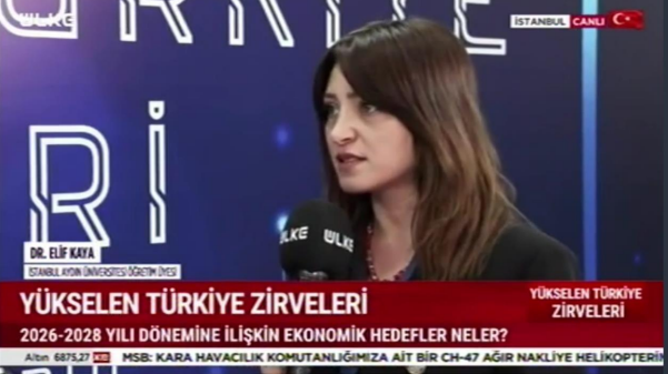 Dr. Elif Kaya Evaluates Recent Economic Developments